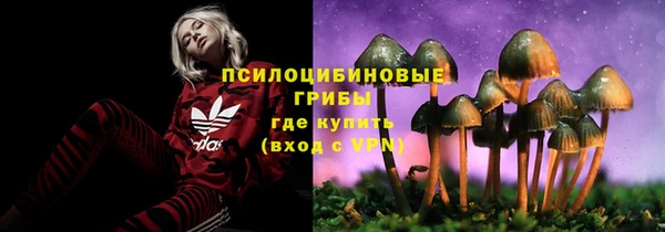 каннабис Алзамай