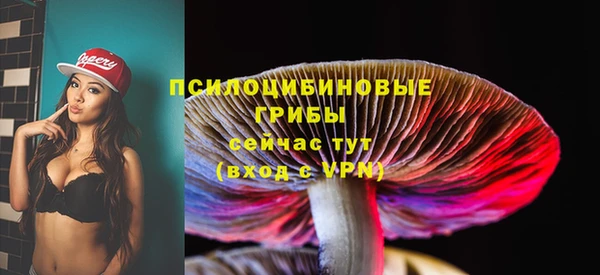 тгк Абинск