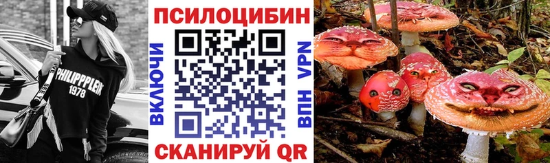 магазин продажи   Нерехта  Псилоцибиновые грибы Cubensis 